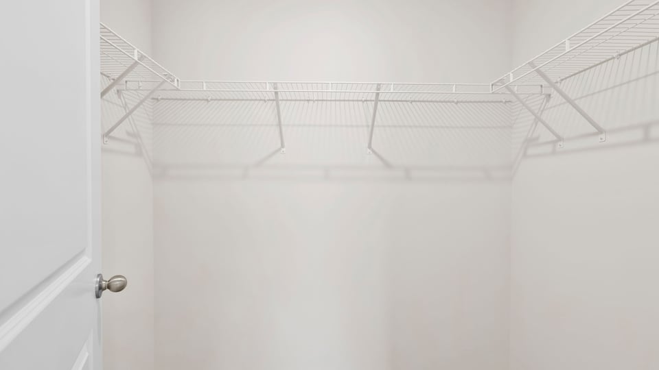 Primary closet with carpet.