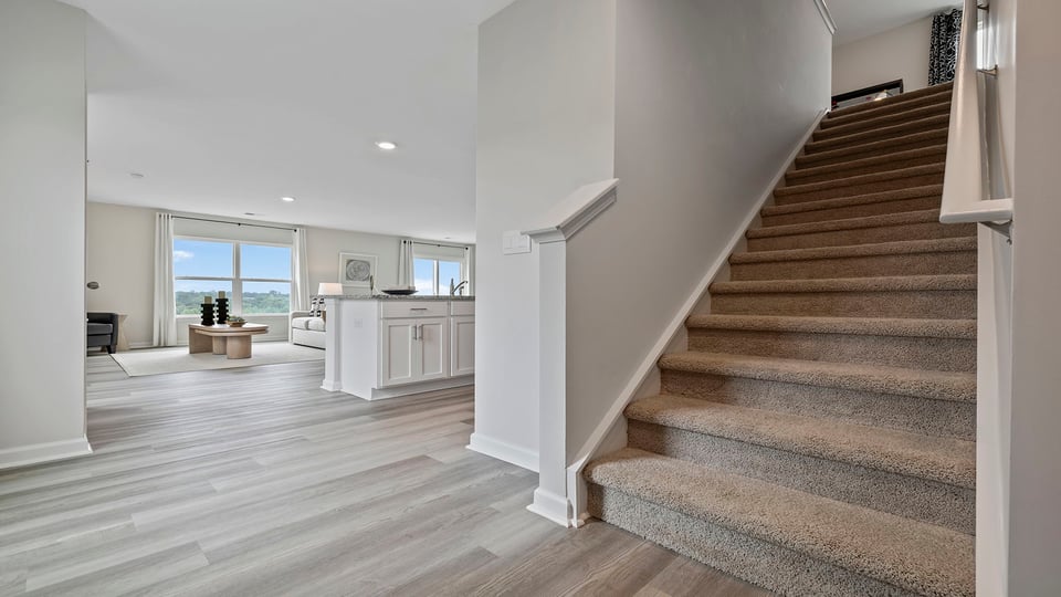 Stairs to second level with carpet.