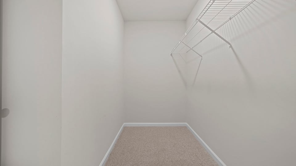 Primary closet with carpet.