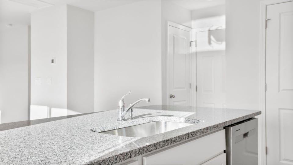 Island hosts sink and dishwasher.