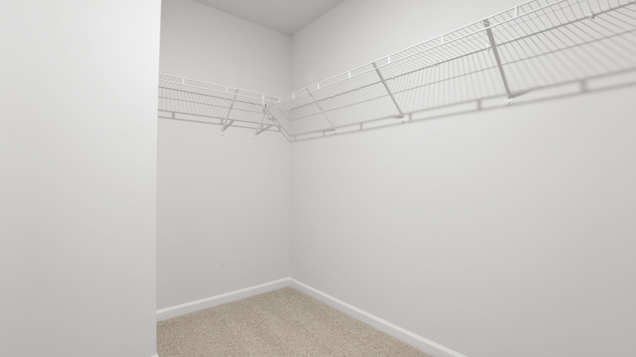 Primary bedroom walk-in closet with shelving.