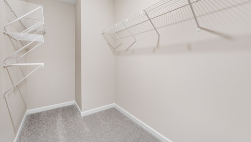 Primary closet with carpet.