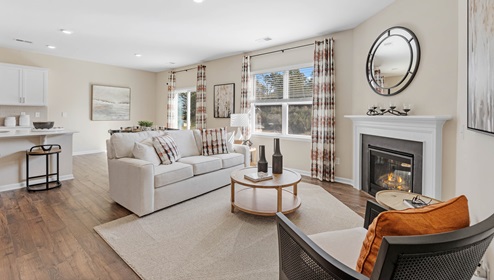 Living room with window and fireplace.