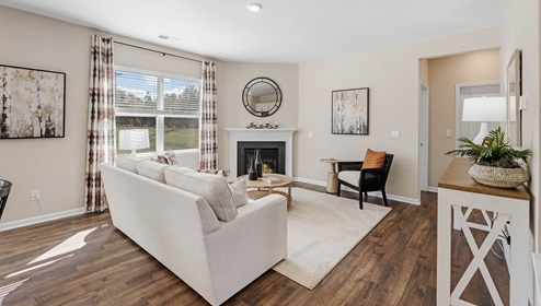 Living room with window and fireplace.