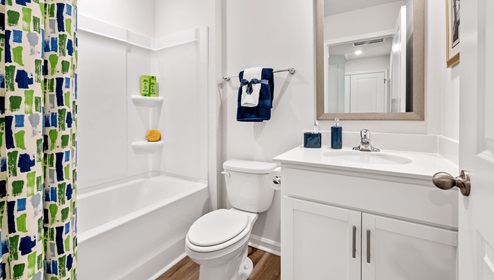 Bathroom with shower, tub and single vanity.