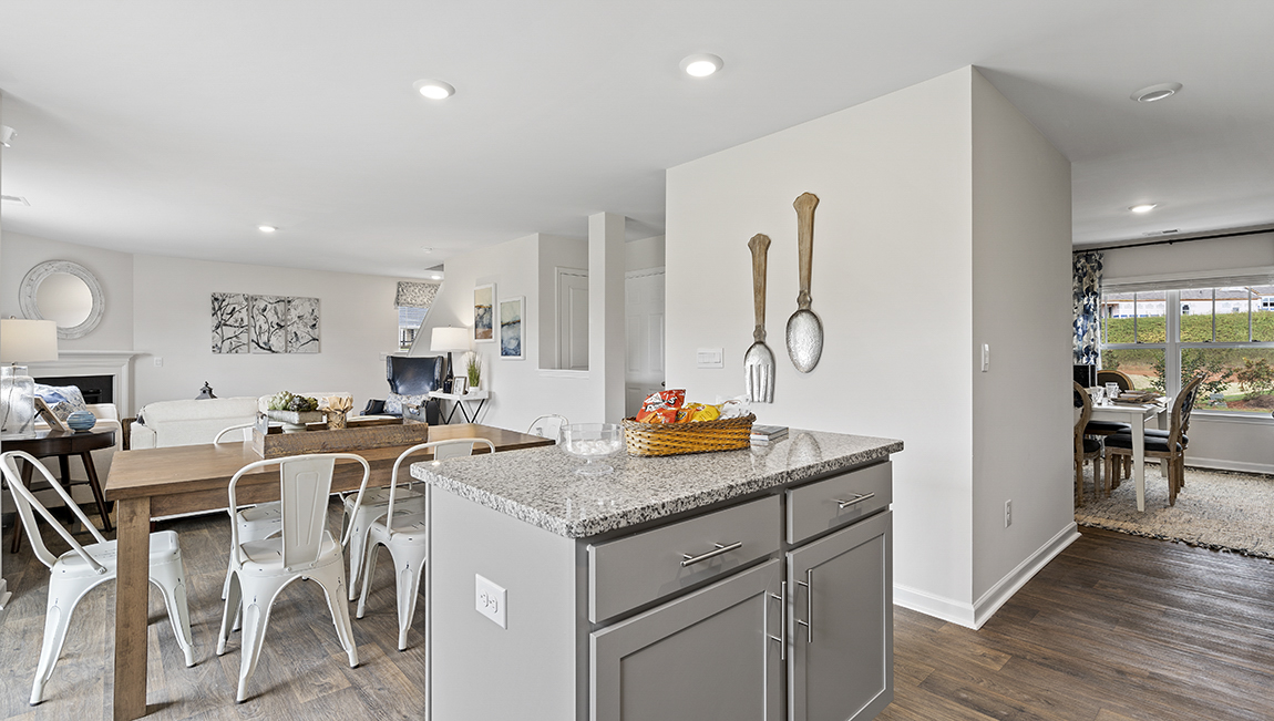 New Homes in Lenhardt Grove Easley, SC D.R. Horton