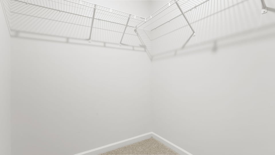 Primary closet with carpet.