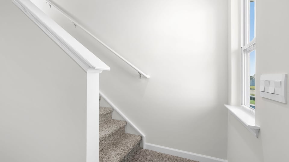 View of stairs with carpet.