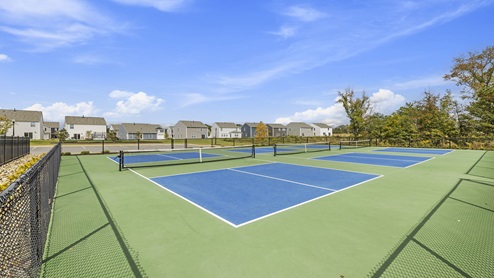 Pickleball courts at amenity center.