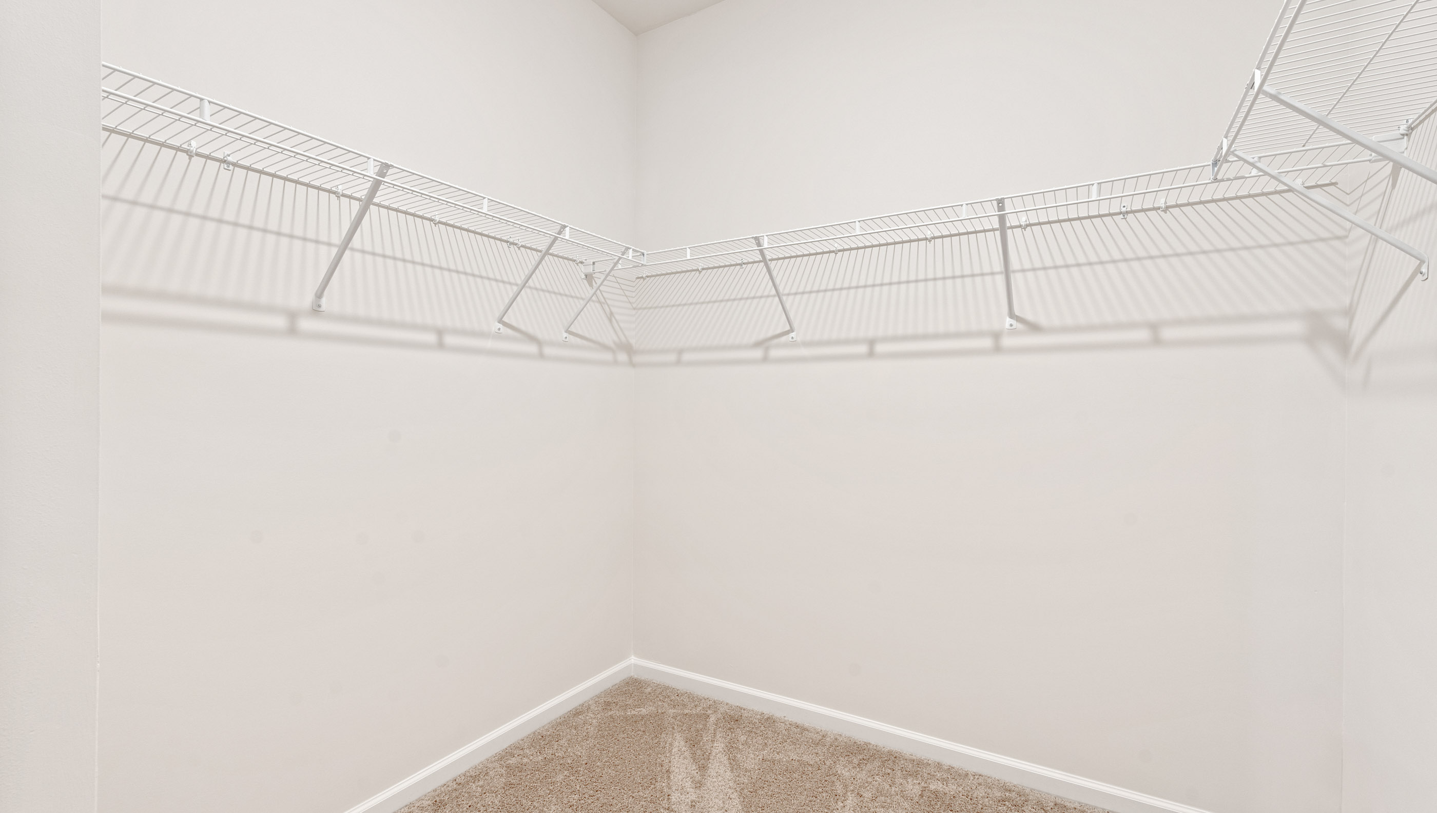 Primary closet with carpet and shelf.