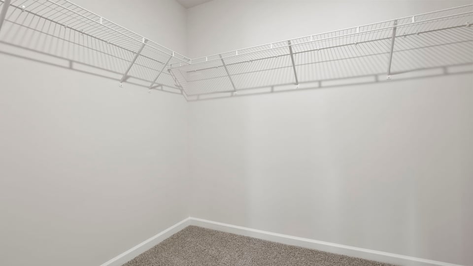 Primary closet with carpet.