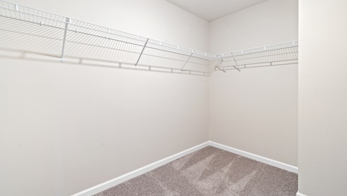 Primary closet with carpet.