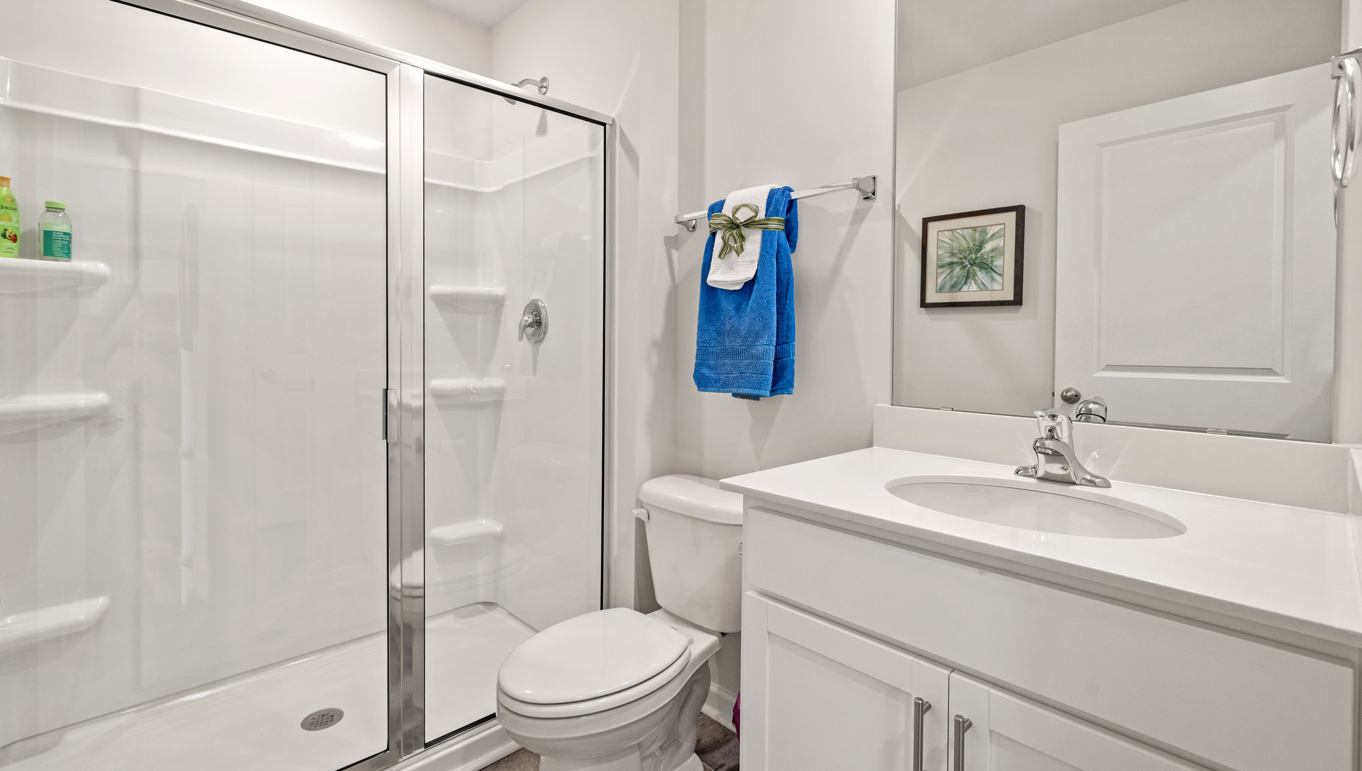 Vanity with walk in shower.