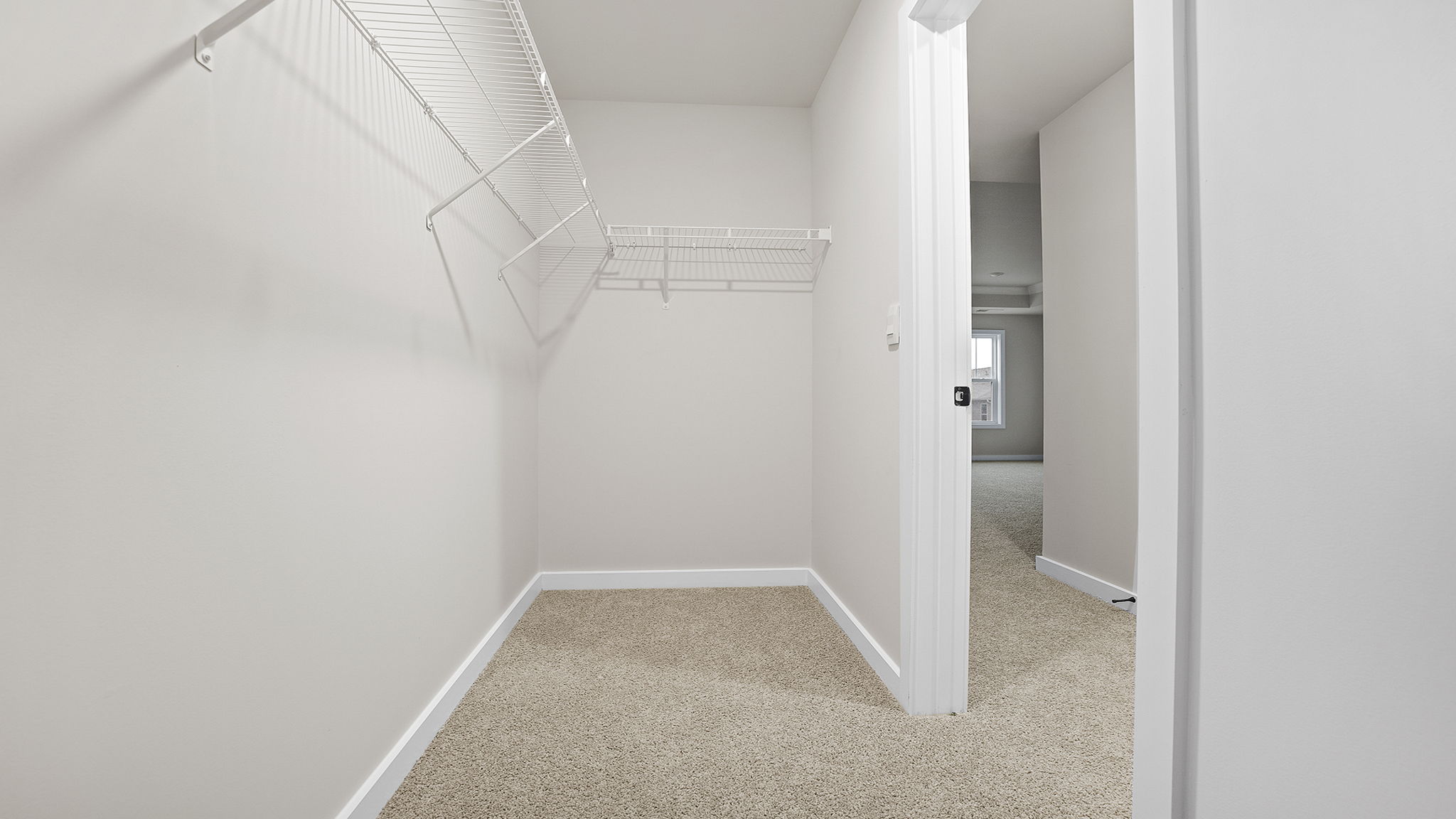 Primary closet with carpet.