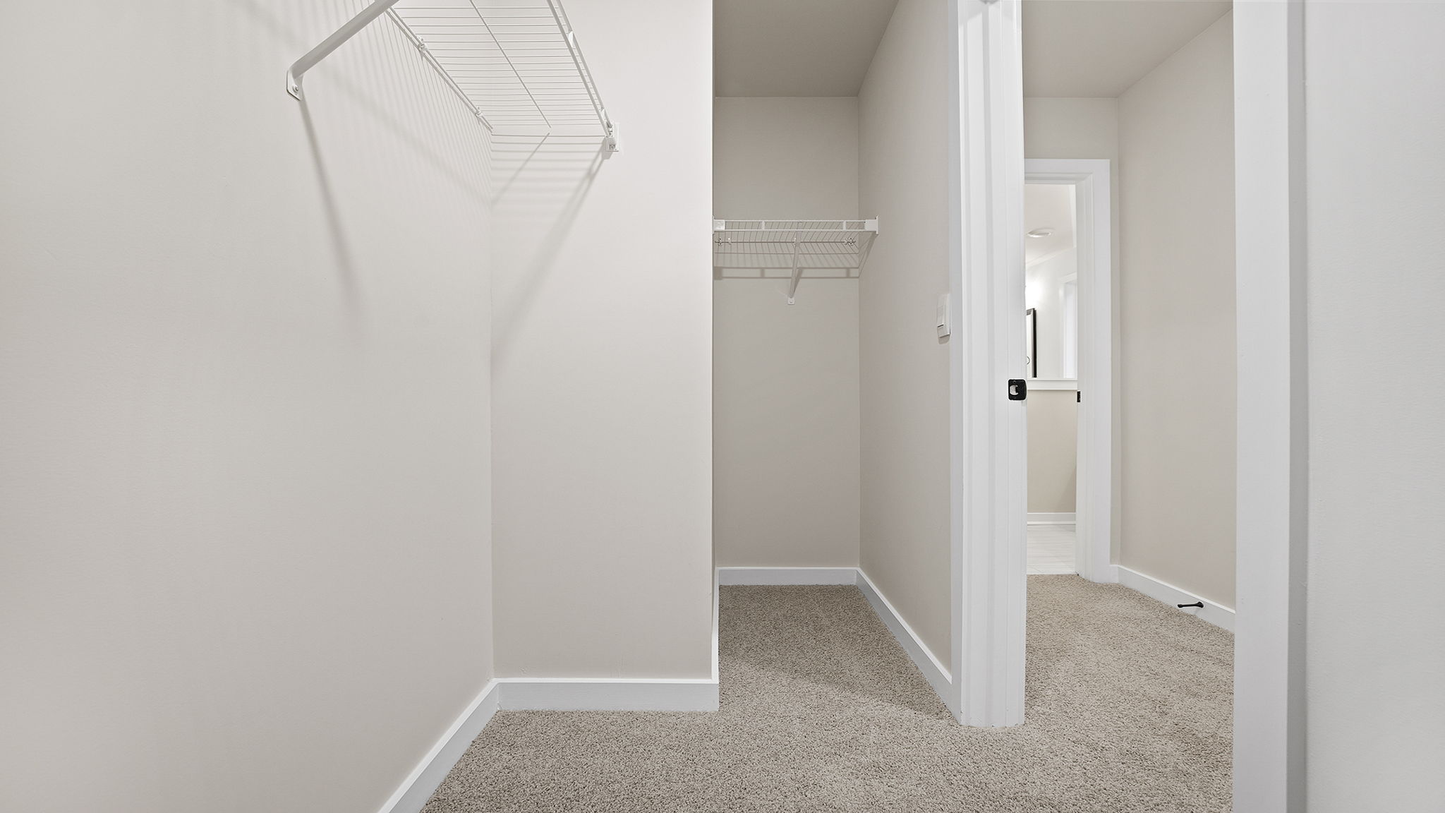 Primary closet with carpet.