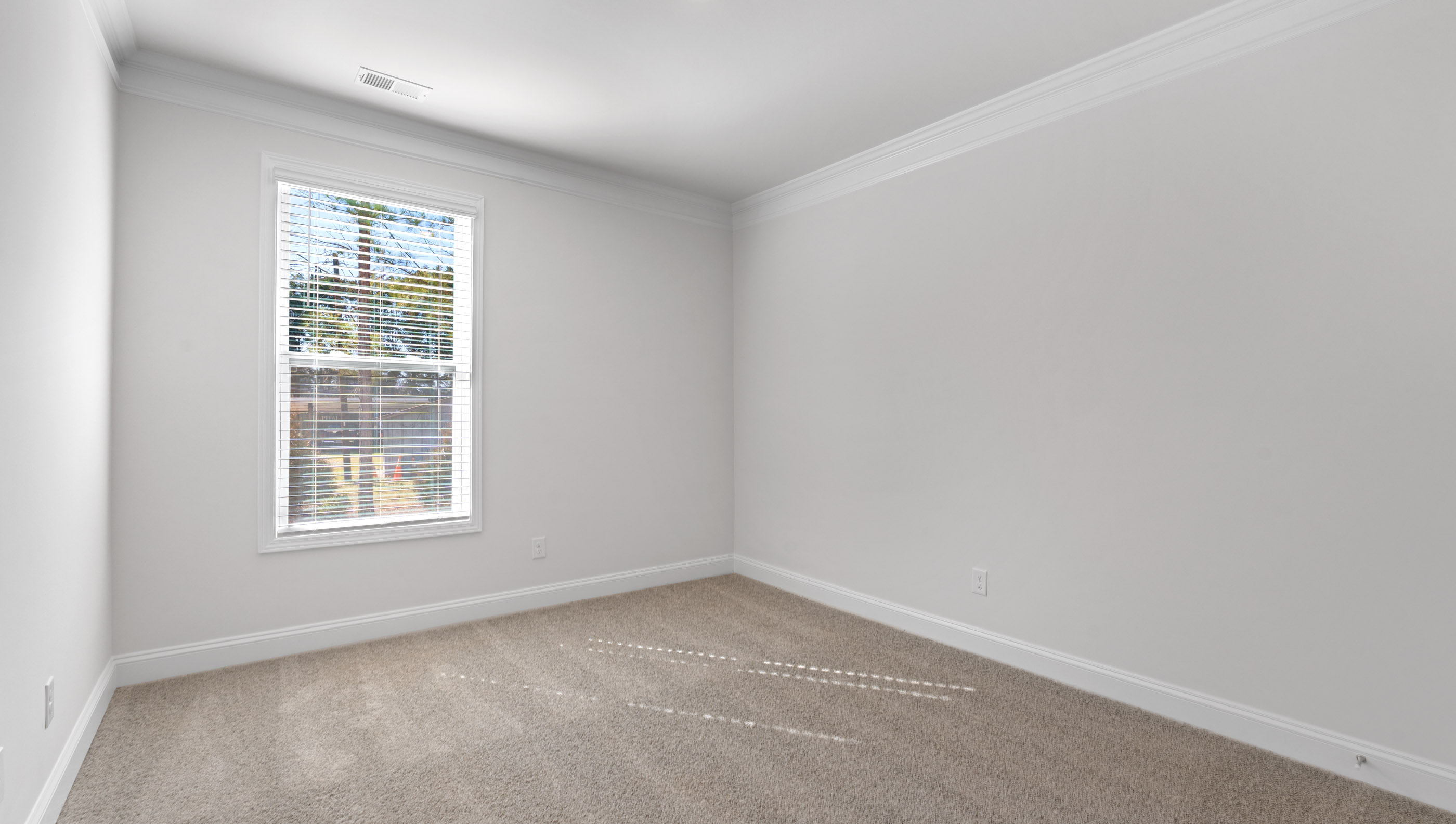 Bedroom on the main level with large window and carpet.