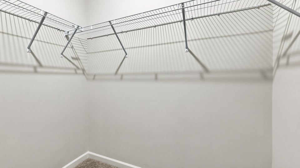 Primary closet with carpet.