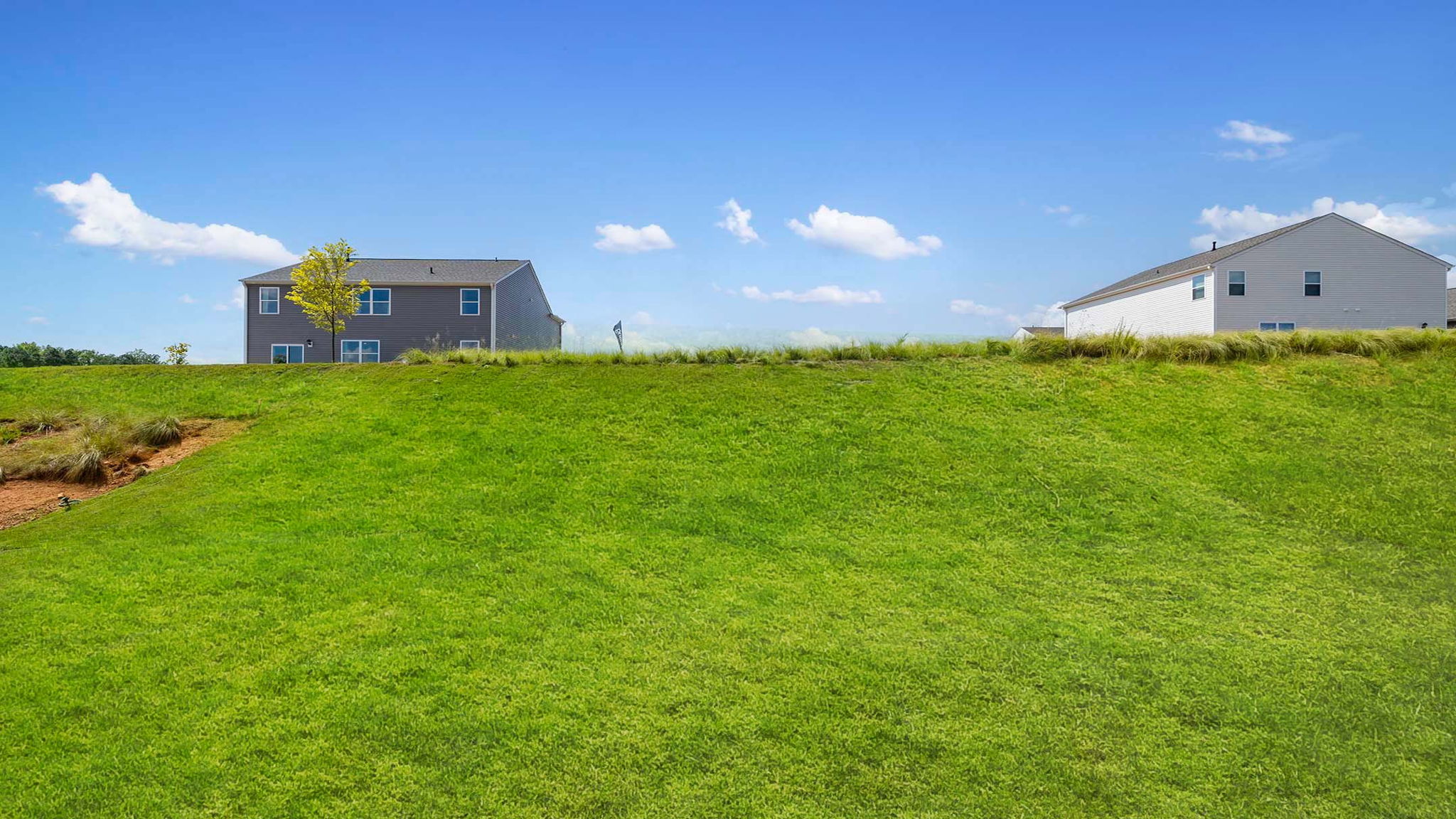 Large backyard of home.