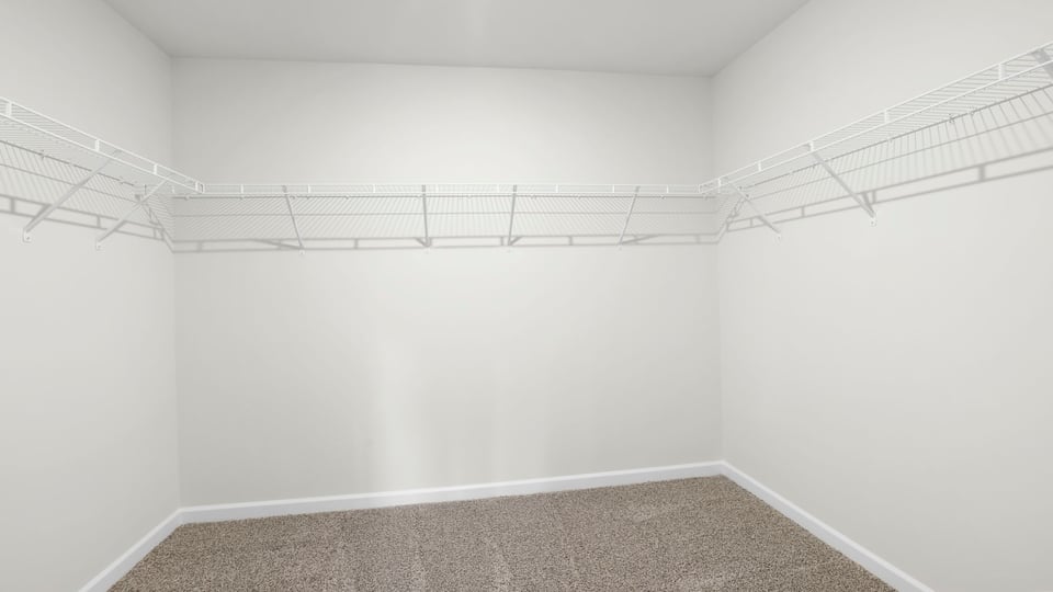 Primary bathroom closet