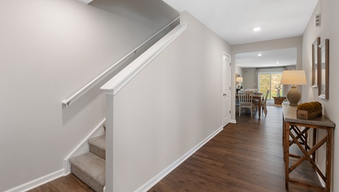 Hallway into home.