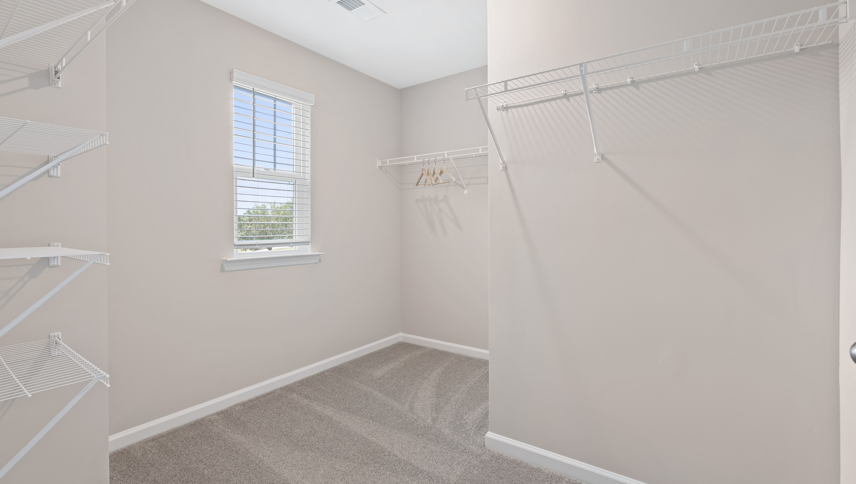 Primary closet with carpet and window.