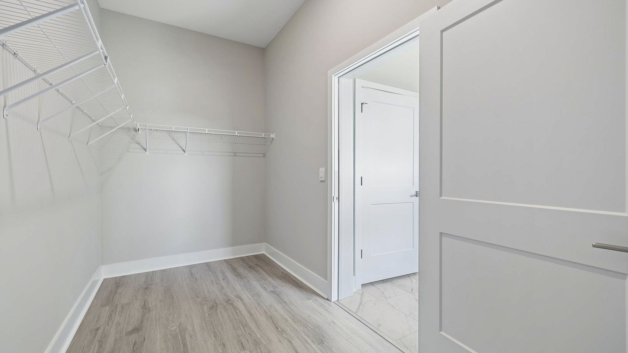 Primary closet with carpet.