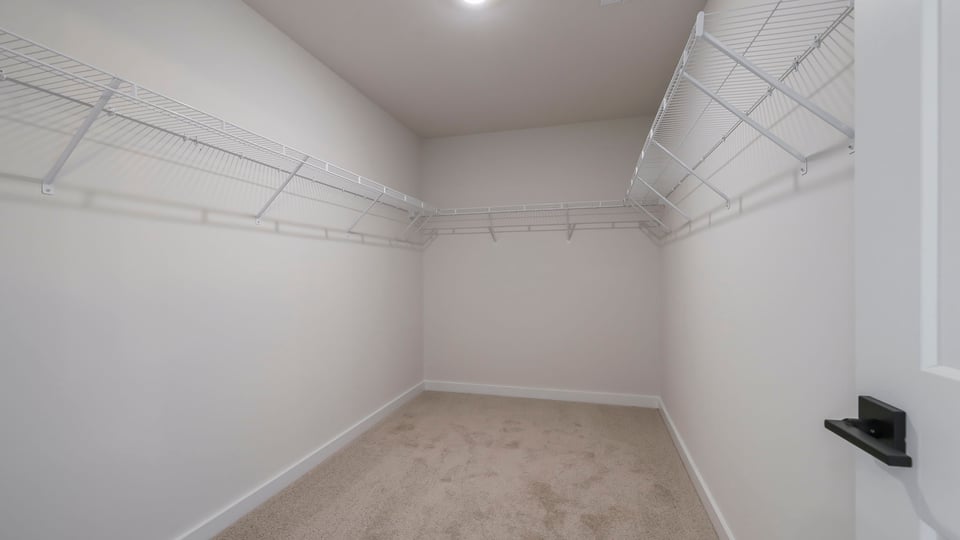 Primary closet with carpet and window.