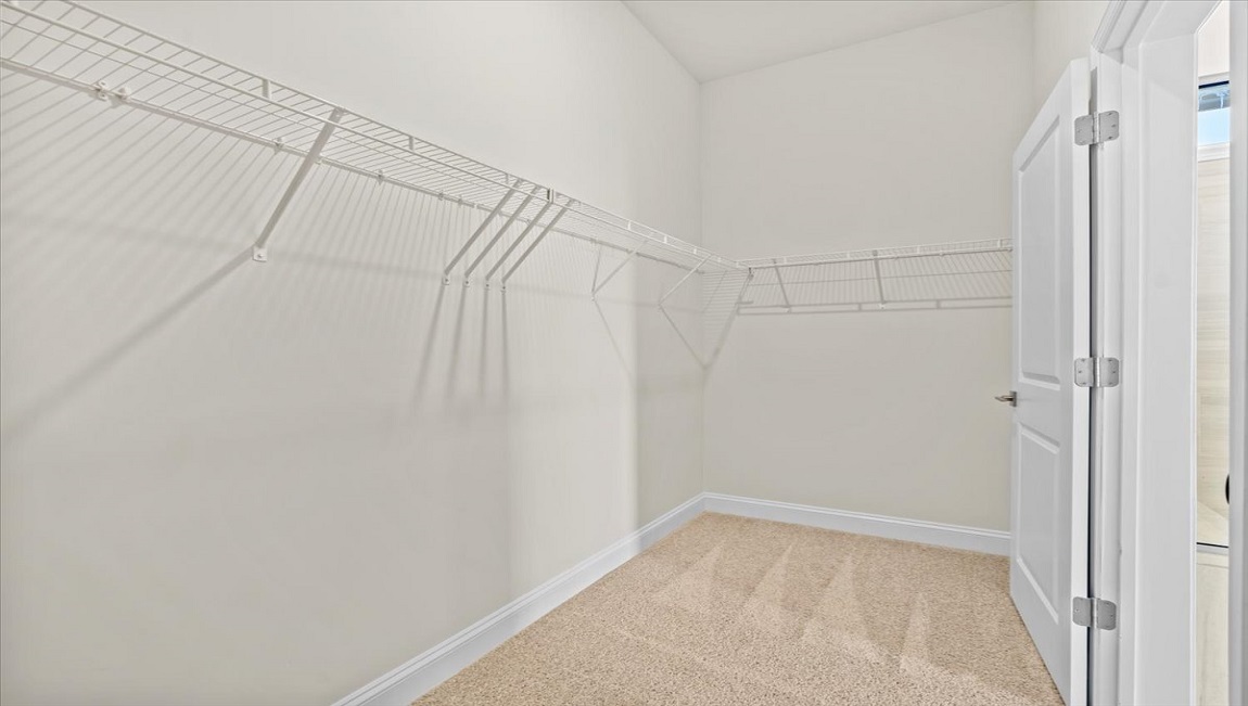 Walk-in closet with carpet.