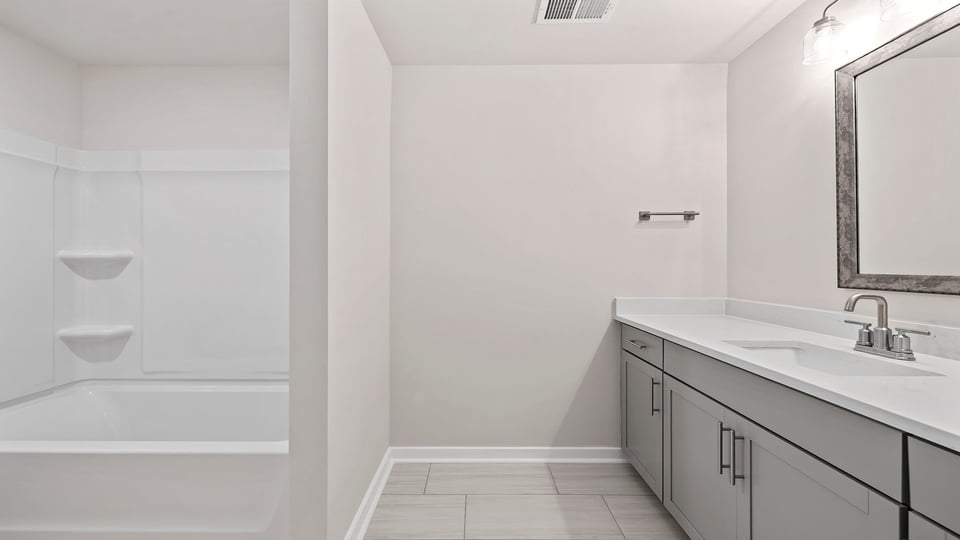 Hall bathroom on dual sink vanity.