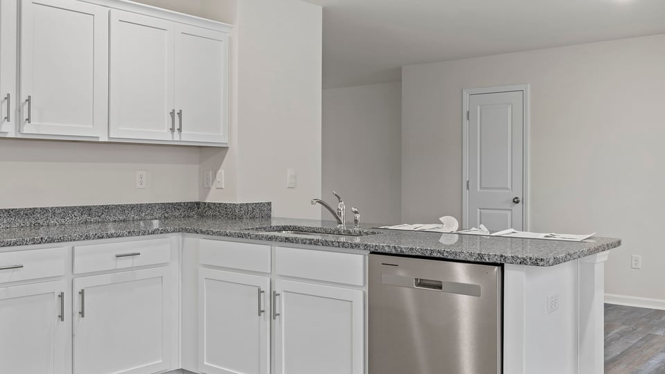 Close up view of the kitchen sink and dishwasher.