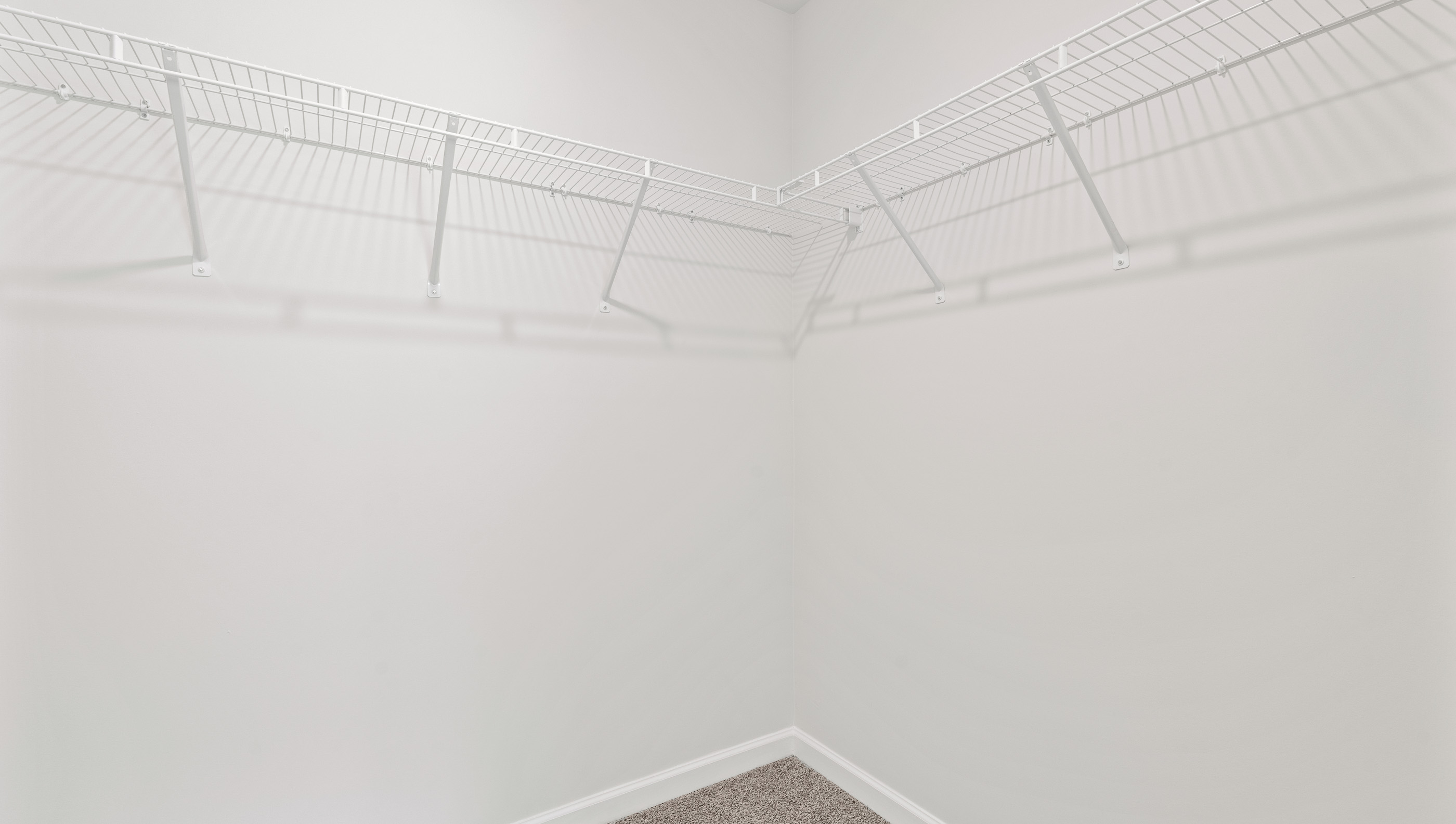 Primary closet with carpet.