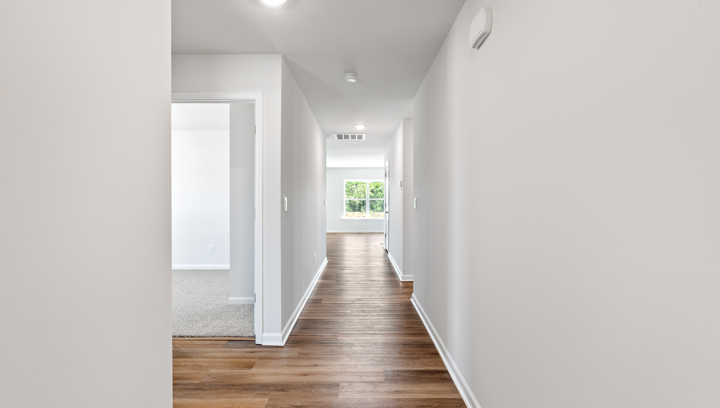 Hallway to Family room.