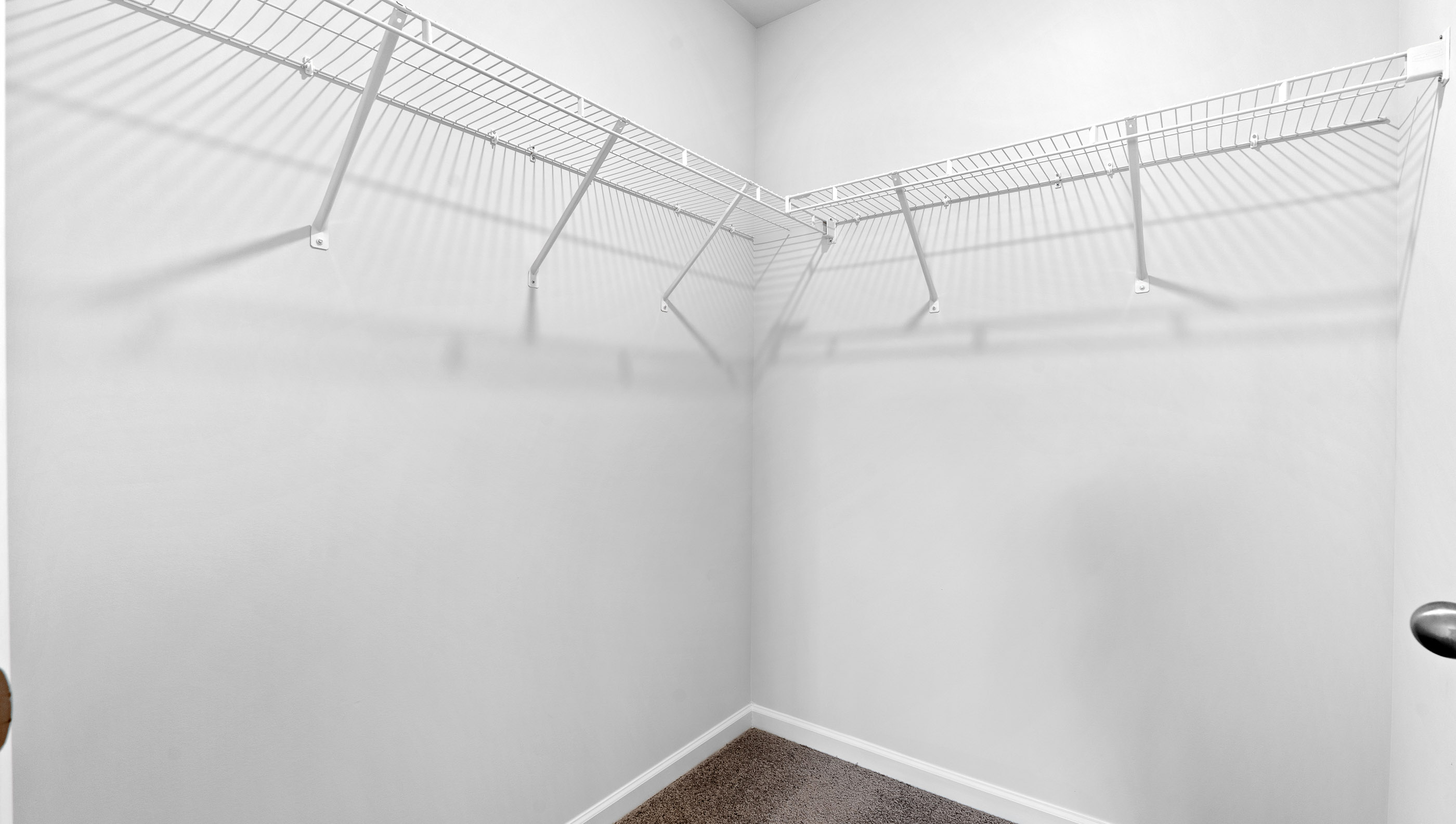 Primary closet with carpet.