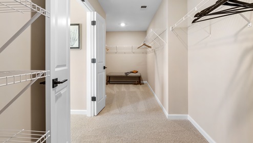 Walk in closet with carpet.