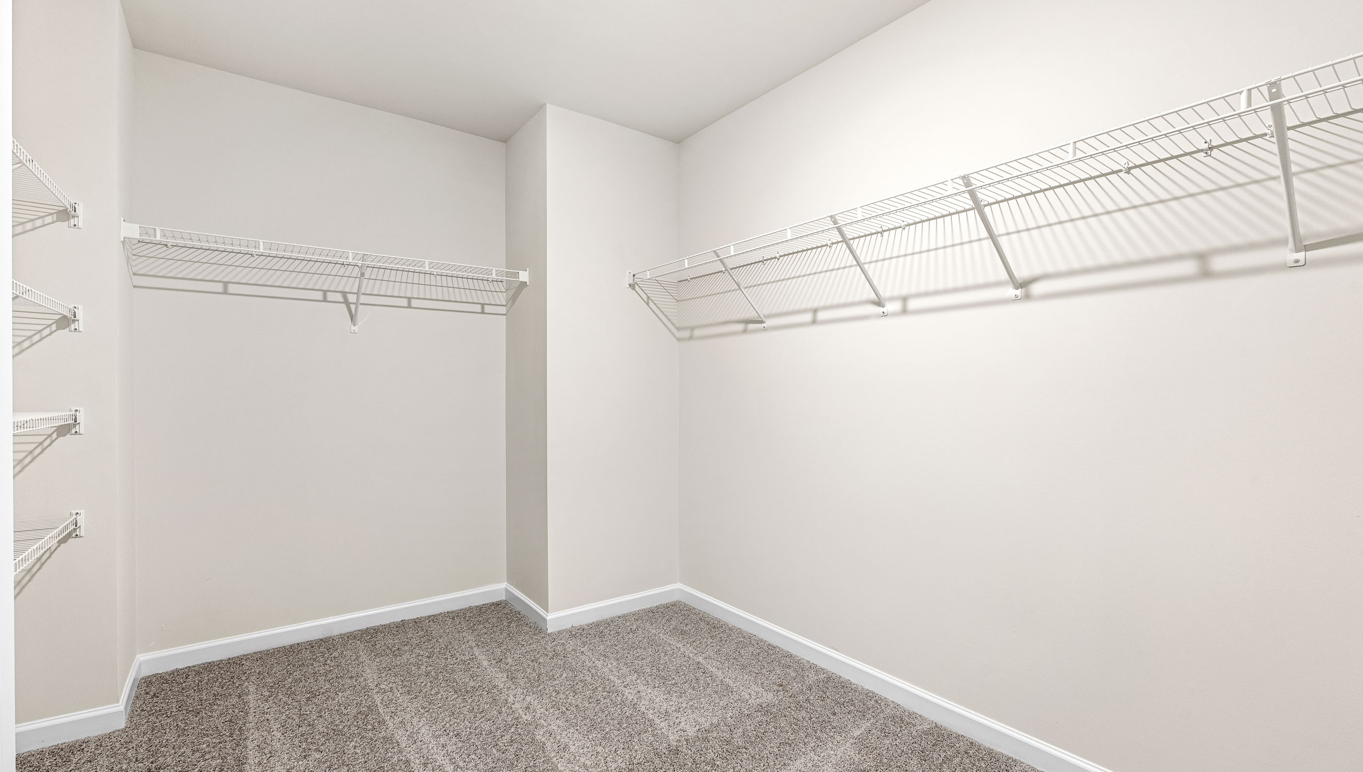 Primary closet with carpet.
