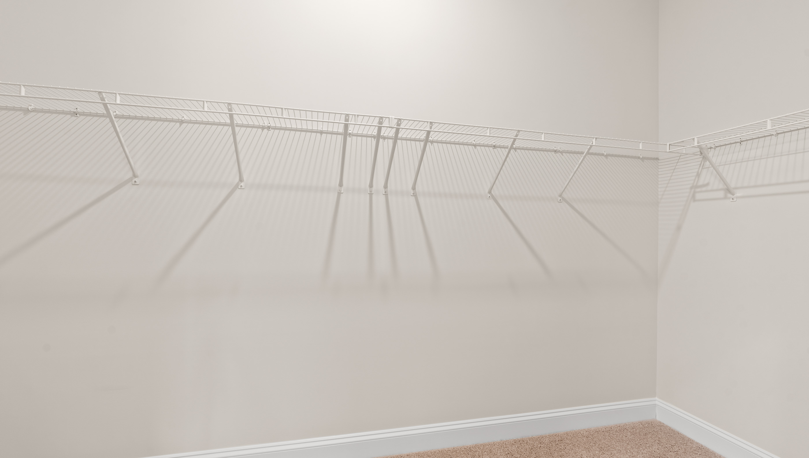 Closet with carpet and hanging storage rack.