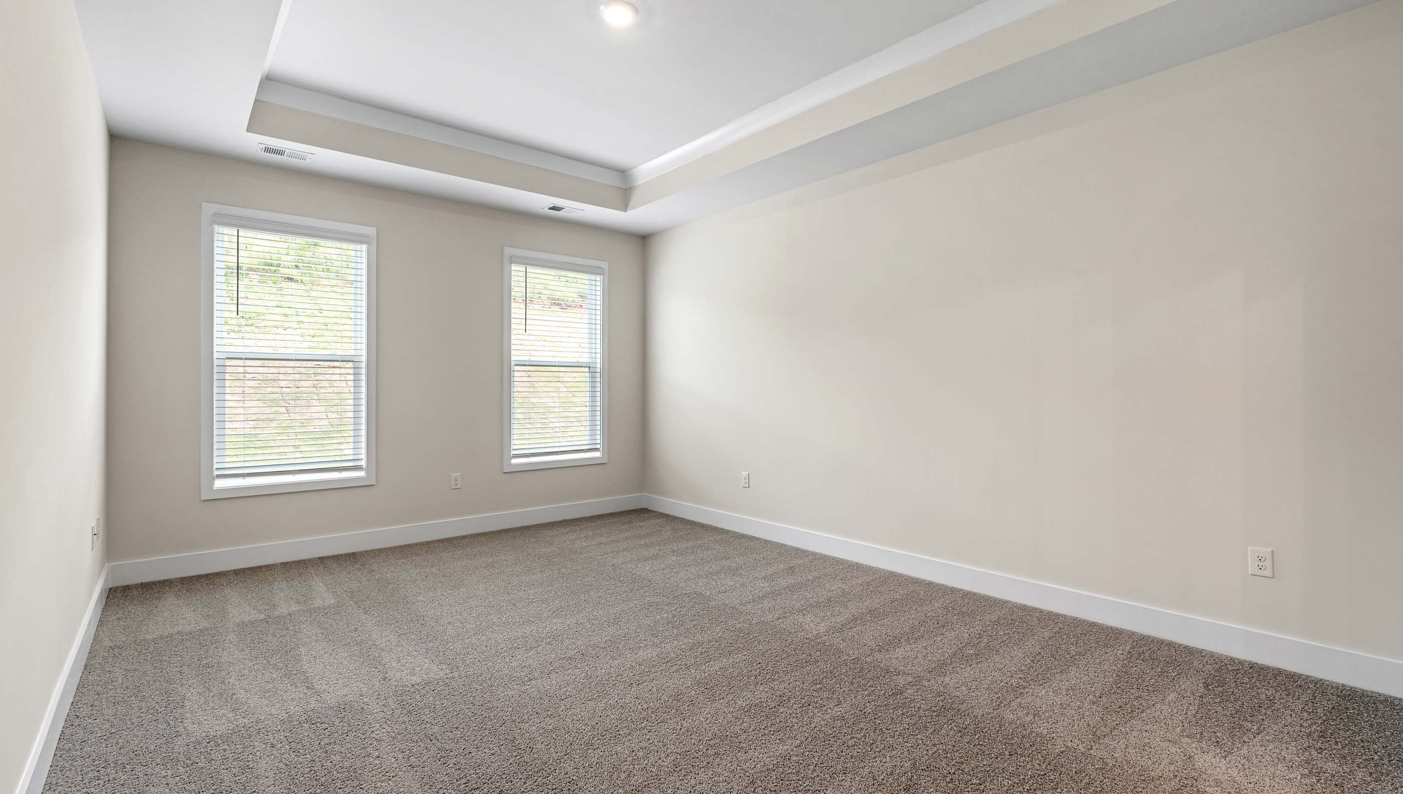 Primary bedroom with two large windows, trey ceiling and carpet.