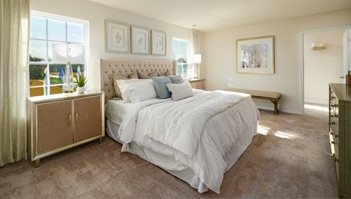 Primary bedroom, carpeted with two large windows