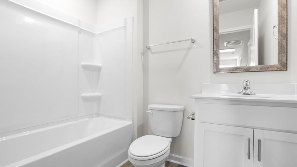 Hall bathroom with shower and vanity.
