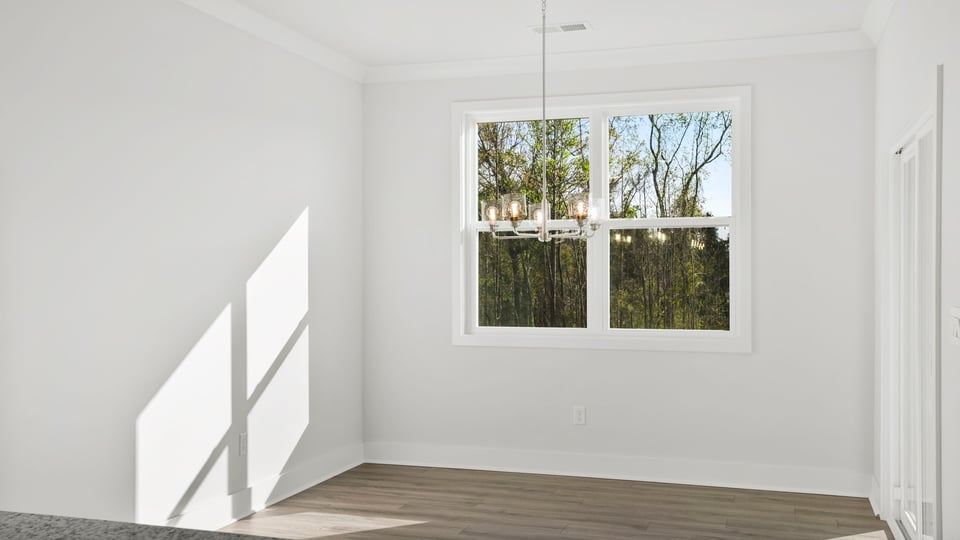 Living room with window and fireplace.
