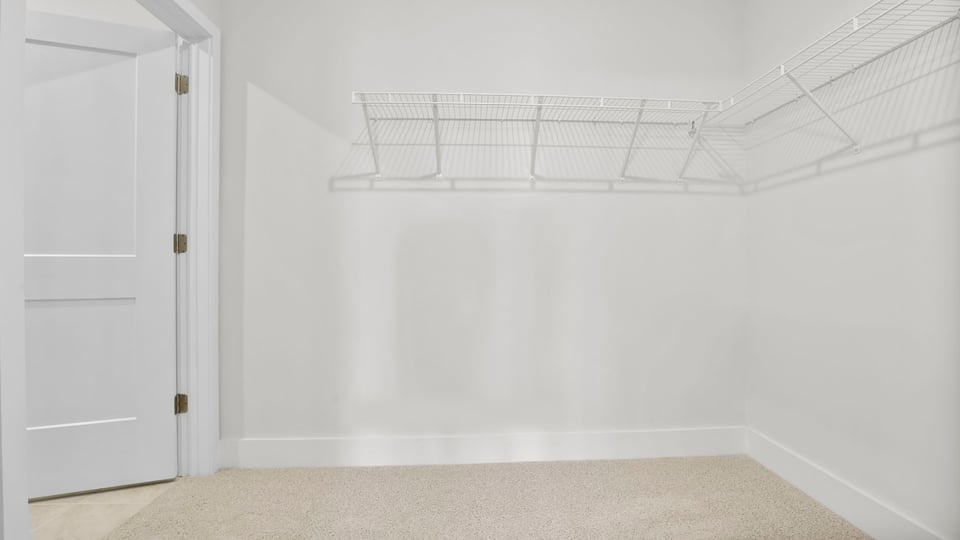 Primary closet with carpet.