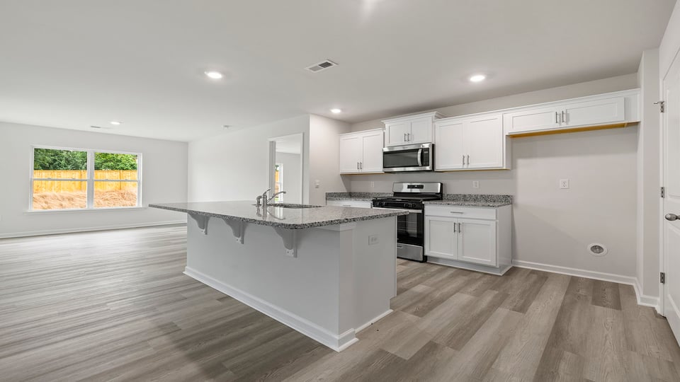 Kitchen open to the combination family and dining areas.