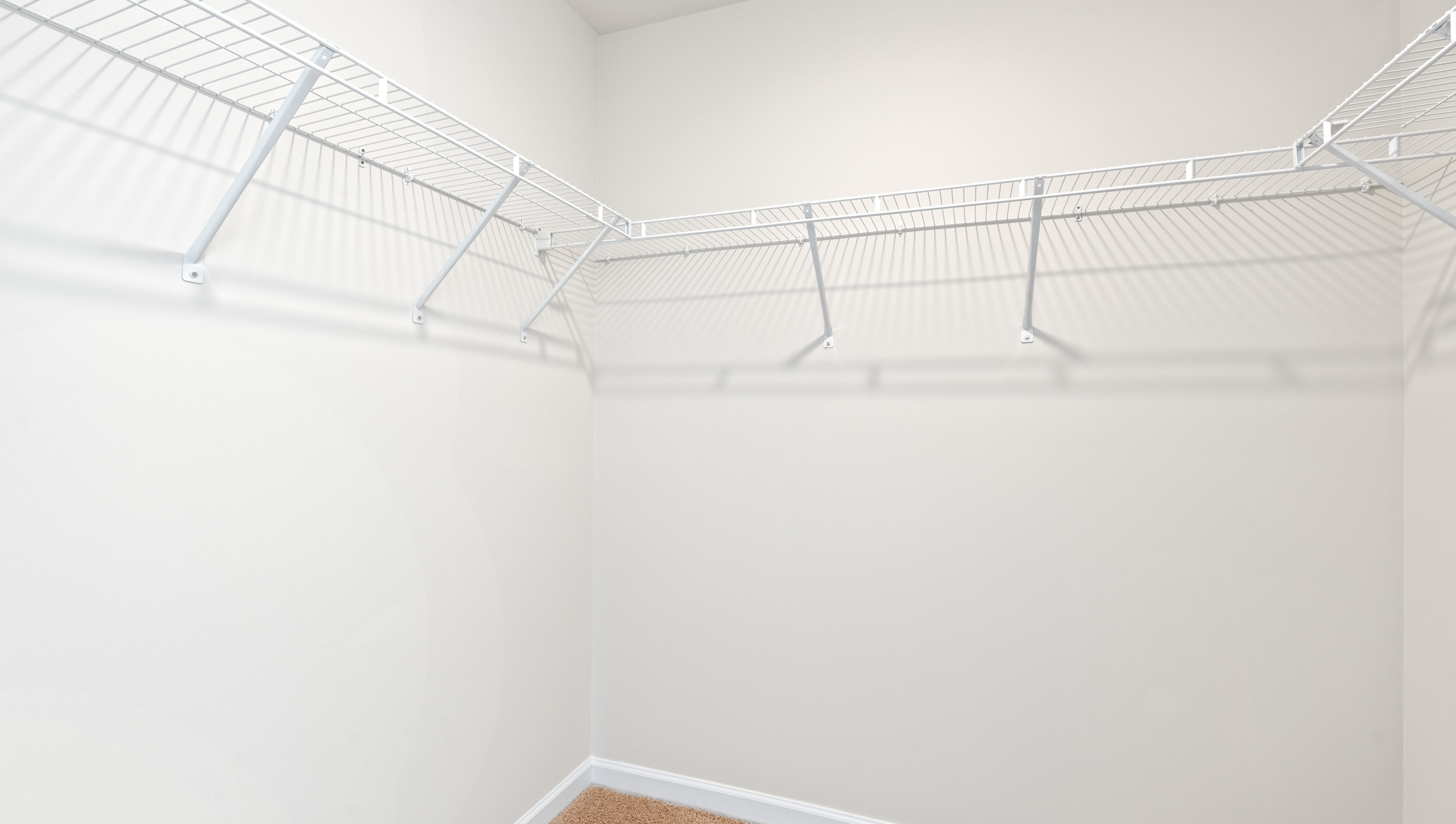 Primary bedroom with walk-in closet.