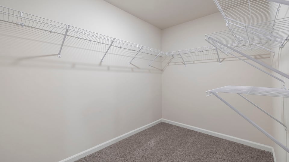 Primary closet with carpet.