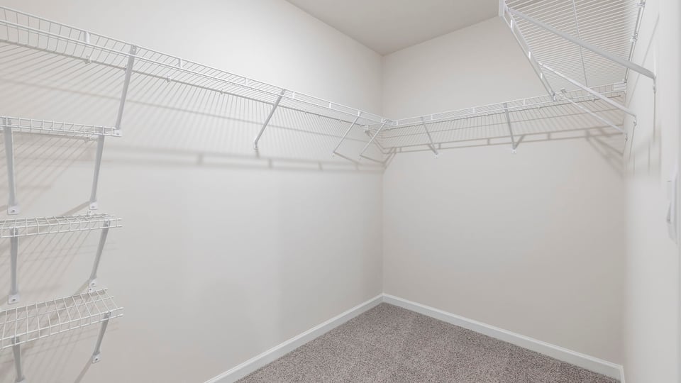 Primary closet with carpet.