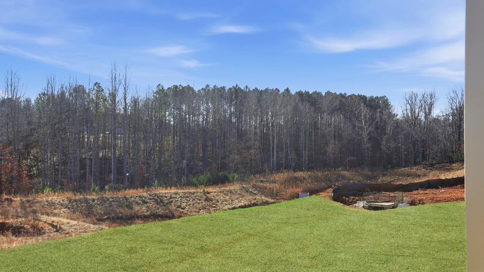 Large backyard of home.