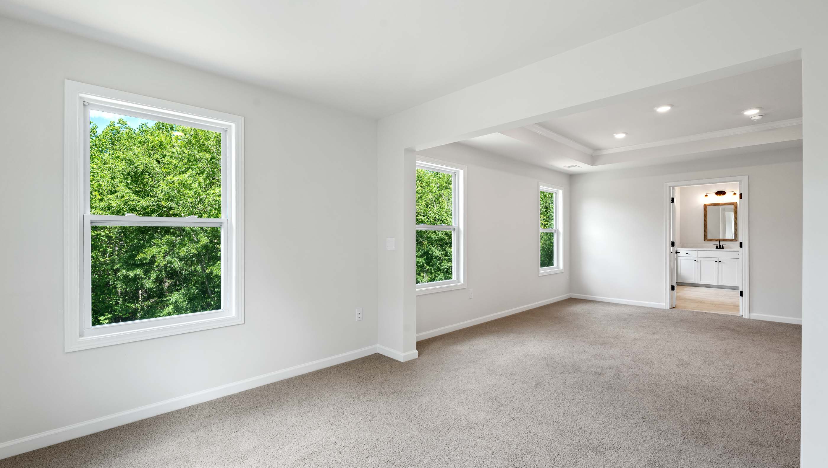 Primary bedroom with carpet and lots of windows.
