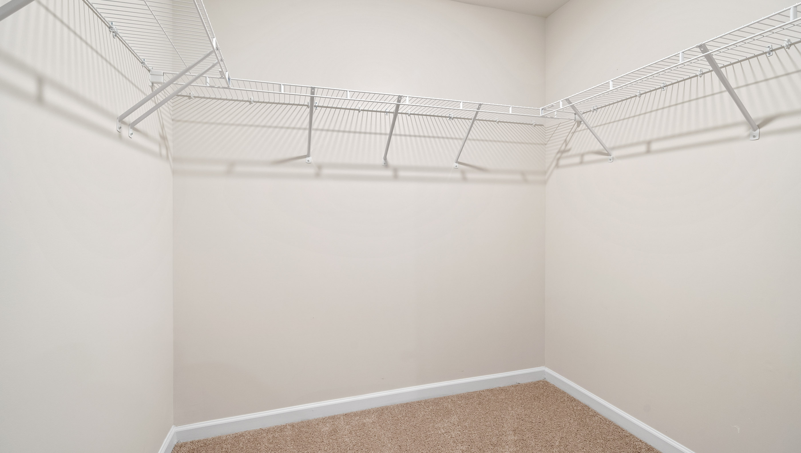 Closet with carpet and hanging storage shelves.
