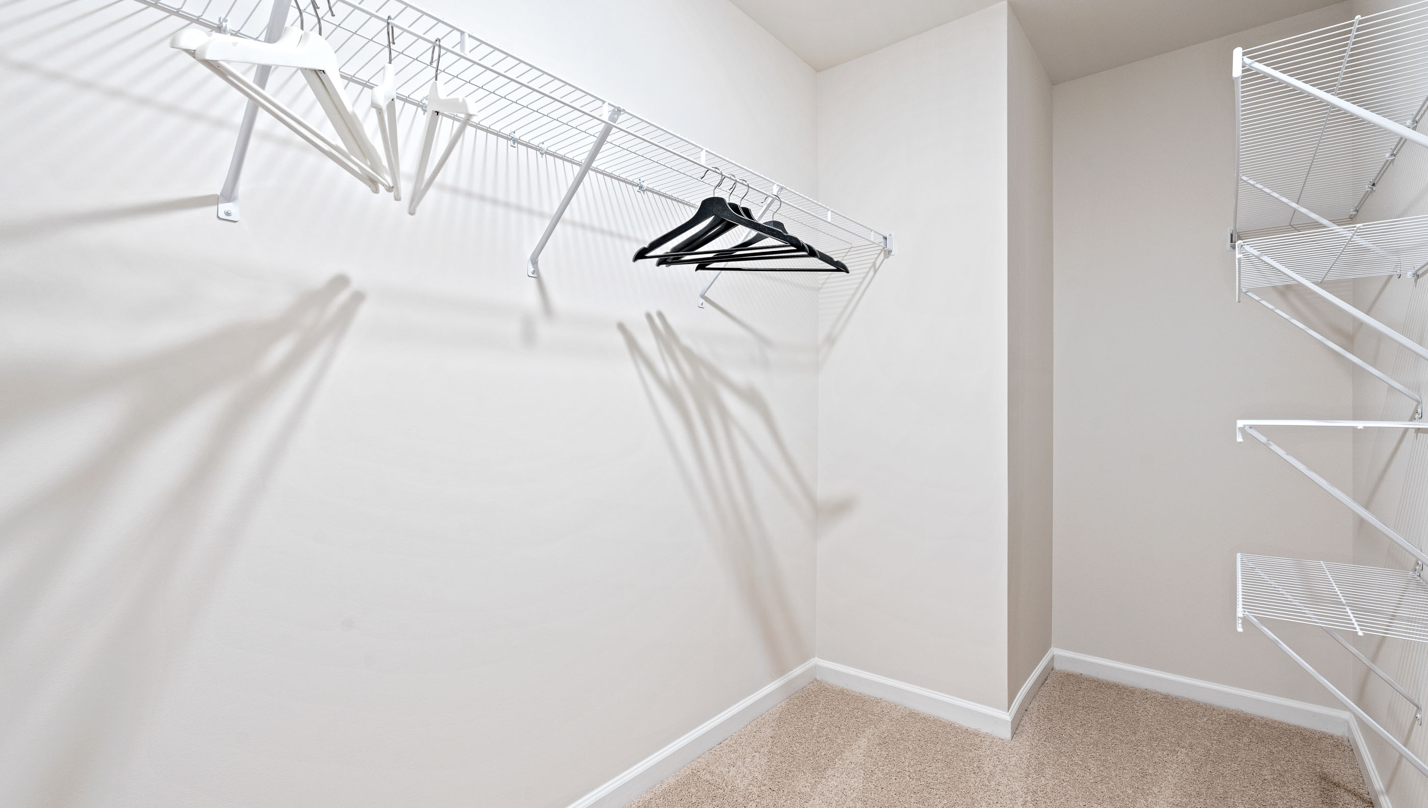 Closet with carpet and hanging storage racks.