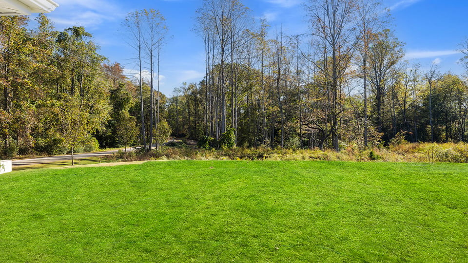 Large backyard of home.